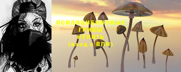 альфа пвп Белокуриха