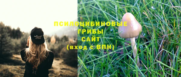 альфа пвп Белокуриха